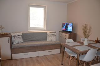 Apartmán Loučná - Špičákovi - Loučná nad Desnou - 8