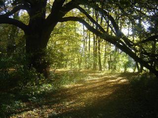 Jagdschloss Quitzin - Grimmen - 2