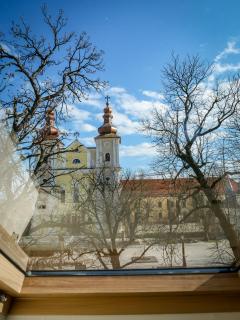 The Nest Boutique - Baia Mare - 4