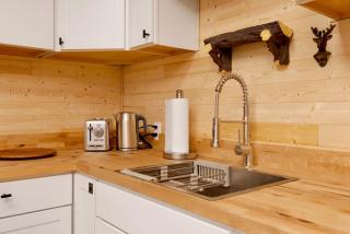 Cozy Fox #2035 by Big Bear Vacations - 1