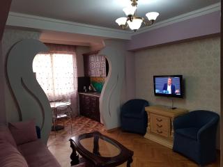 City Center in Yerevan Apartament-44 - Yerevan - 0