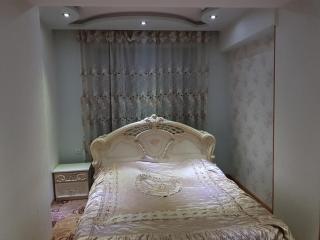 City Center in Yerevan Apartament-44 - Yerevan - 3