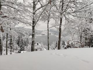 EKO KUĆA HEDONIJA - 8