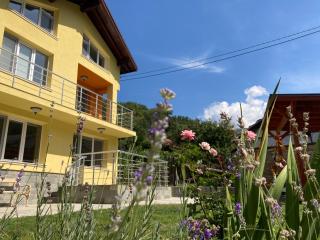 Villa Rosa - Krayni Dol - 4