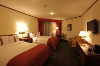 Holiday Inn Guatemala by IHG - Guatemala - 2