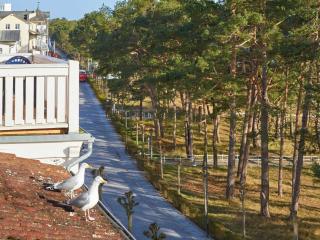 Villa Strandidyll - WG13 mit Meerblick - Binz - 4