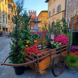 La casa di Ciaccia - Camaiore - 4