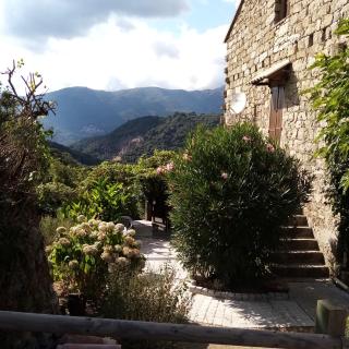 les chalets et gite du haut taravo - Zicavo - 8