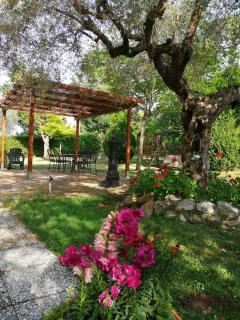 Agriturismo Terralieta - Roseto degli Abruzzi - 8