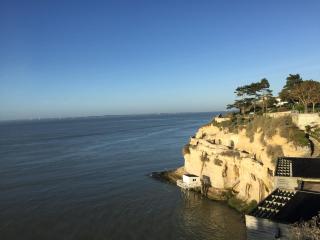 LA CABANE DE L'ESTUAIRE chambres d'hôte - Meschers-sur-Gironde - 4