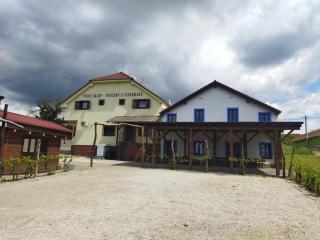 Vinný sklep a penzion U Vinohradu - Velké Bílovice - 0
