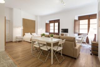 Santiago Premium loft I - Málaga - 0