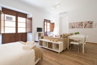 Santiago Premium loft I - Málaga - 5