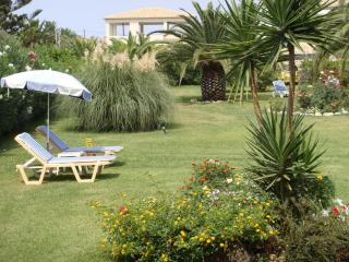 Eleftheria Studios and Apartments - Acharavi - 4