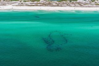 Surfer Girl - Blue Gulf Beach - 6