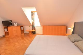 Apartments Vektor Vila Golf - 5