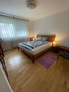 Lovely Modern Apartment - Lake Jarun - Zagabria - 9