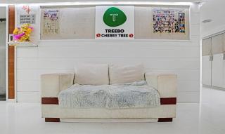 Treebo Cherry Tree - Indore - 7