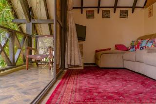 The Annex at 64 : Cozy, rustic cottage/treehouse - 9
