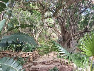 Peaceful 1-bedroom granny flat in Sunnyside - Grahamstown - 1