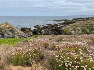 4Sea House - Porto Covo - 2