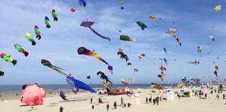 Osanjes Berck plage - Berck-sur-Mer - 2