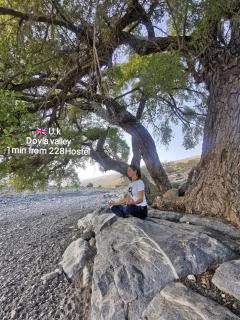 228Hostel - Al Hamra - 1