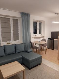 Apartament Zamkowy - Malbork - 6