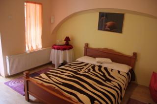 Pensiunea Casa Rusu - Baia Mare - 9