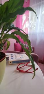 Daisy - Pula - 6