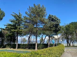 GARDASEE APPARTAMENTO CON PISCINA - 4