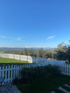 Olea b&b - Montecosaro - 7