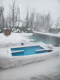 Chalets et Spa Lac Saint-Jean - 9