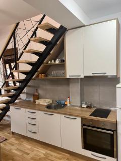Vila Neda-Apartman Duga - Zlatibor - 5