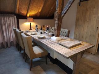 Juweeltje van vakantiewoning op prachtig landgoed - Nieuwleusen - 4