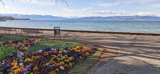 BodenSEE Apartments Kressbronn "HAUS AM SEEPARK" - Kressbronn am Bodensee - 1