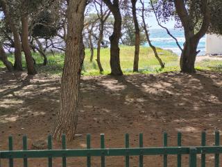 FRONTE PINETA MARE RIVABELLA - Rivabella - 6