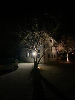 Casa Bellodi - Novi di Modena - 0