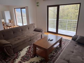 Porodicna kuca za odmor Kovaci - 8