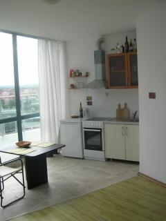 802, spacy apm with sea view. - Primorsko - 6