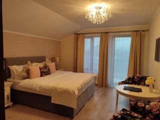 Villa Boutique Alina - Deva - 3