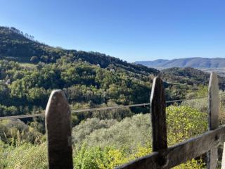 Casa Vacanza Alfredo - Falcinello - 6
