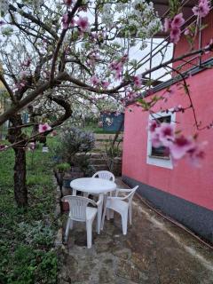 Apartman Sandro - Motovun - 3