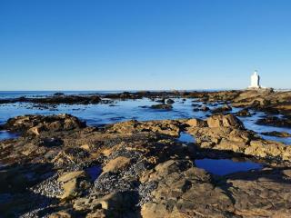 The Starling - St Helena Bay - 2