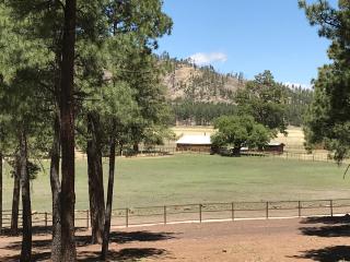 Grand Canyon 1bd Loft/Suite-Horseback Riding-Shooting-Dogs OK! - Parks - 9
