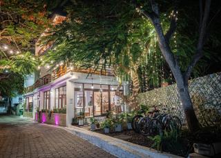 Hotel La Isla - 8