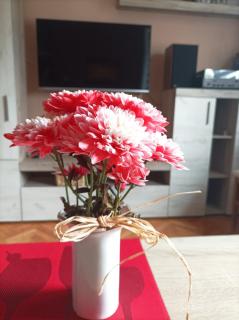 IVA centar - Valjevo - 3