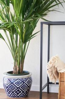 Trie Vineyard Cottage - 4