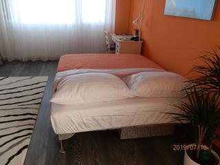 Apartment RINO****, 58m², 170m from the beach - Rijeka - 4