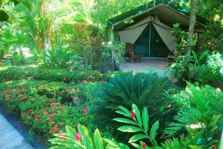 Rafiki Beach Camp - Matapalo - 7